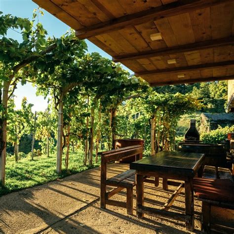 Vinogradi na Dolenjskem