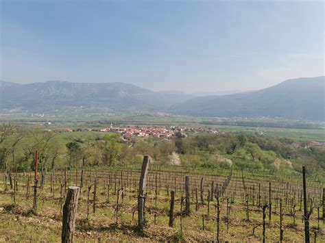 Pogled na Bogojino z vinogradi in cerkvijo