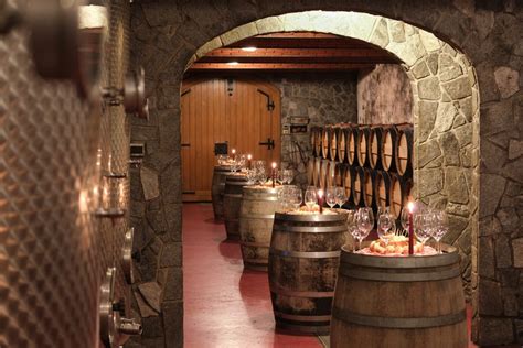 Vinska klet z razstavljenimi buteljkami vina