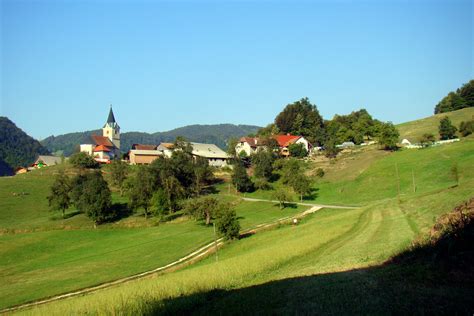 Dolenjski griči