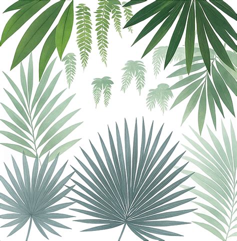 Fototapeta z motivom palmovih listov