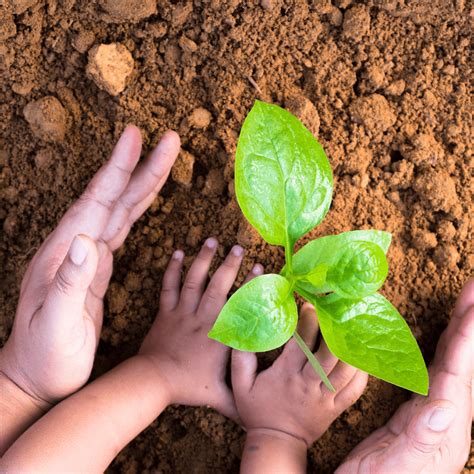 Otroci raziskujejo interaktivno razstavo 