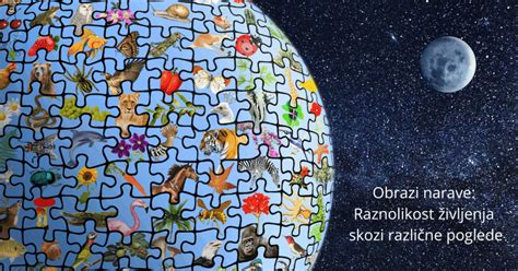 Raznolikost življenja v obalnem morju