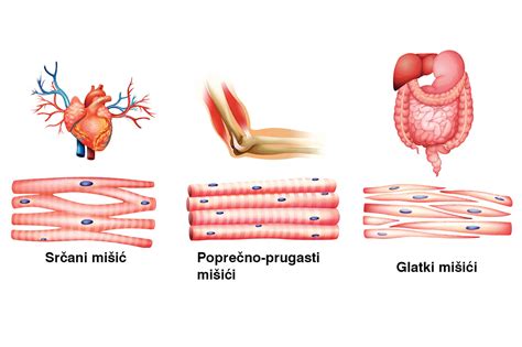 Slika globokomorskega organizma