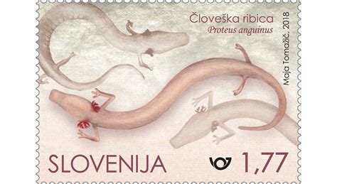 Človeška ribica, simbol Parka Postojnska jama