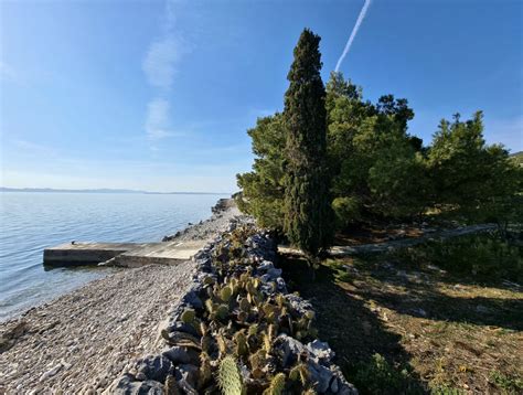 Aromatične rastline na otoku Pašman