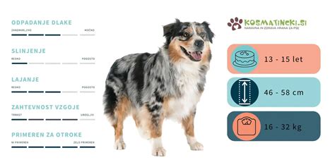 Avstralski vizum na spletu