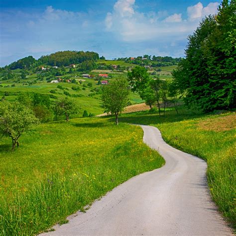Podeželska pokrajina z drevesi in zelenimi travniki