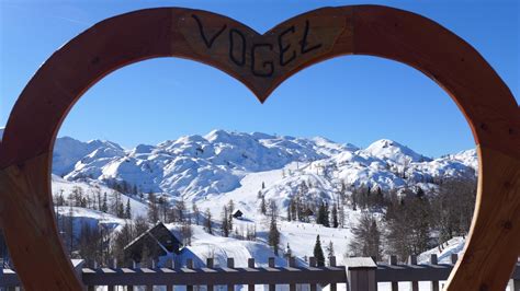 Slika smučarjev na vrhu smučišča z avtobusom v ozadju