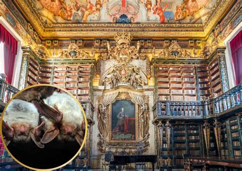 Univerza v Coimbri s knjižnico Joanina