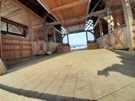 premoderna umetnost hlev