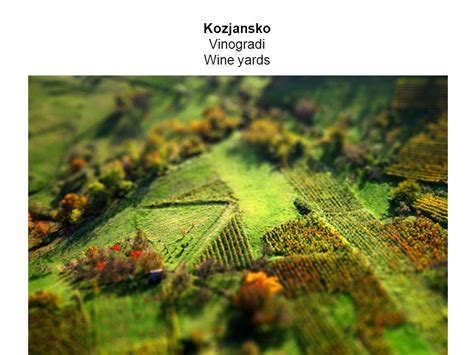 Kozjansko podeželje z vinogradi