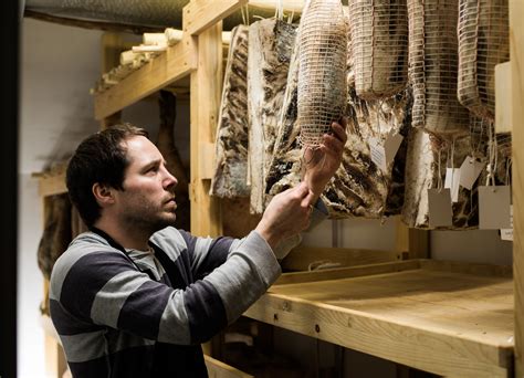 Različne vrste suhomesnatih izdelkov iz krškopoljskega prašiča