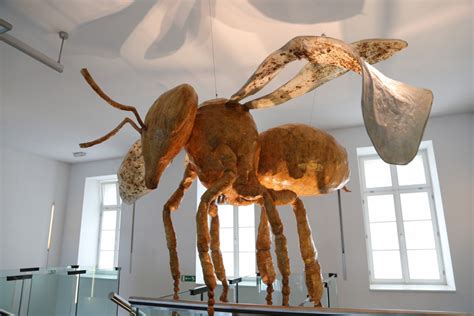 Ilustracija slovenske kranjske sivke in poslikanih panjskih končnic