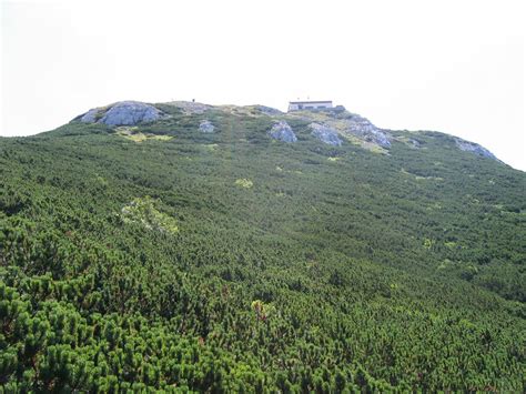 Gosta gozdna pokrajina