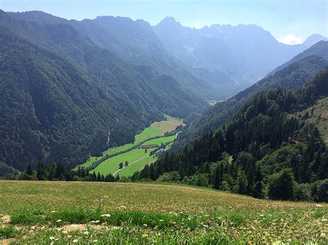 Panoramski pogled na Logarsko dolino s pobočja