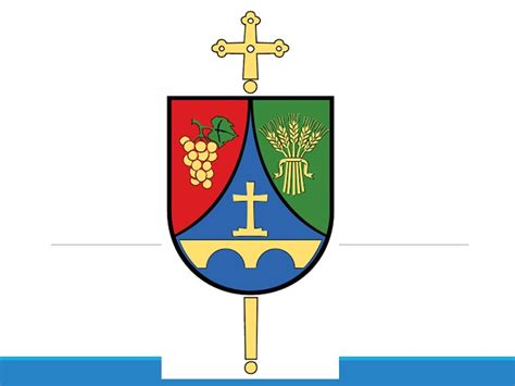 Ljudje različnih kultur, ki sodelujejo pri prostovoljnem delu