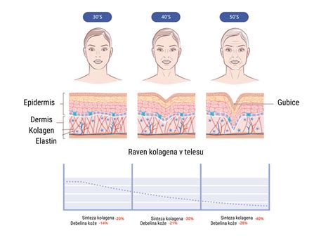 Diagram prikazuje proces izgube kolagena v koži s starostjo