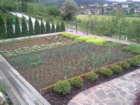 Zelenjavni vrt v kampu Ugljan z gosti, ki nabirajo zelenjavo