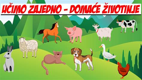 Ilustracija sodobne živinorejske farme