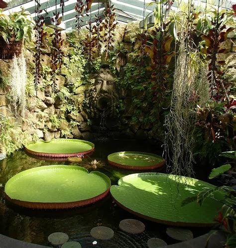 Botanični vrt La Mortella s tropskimi rastlinami in vodnimi elementi