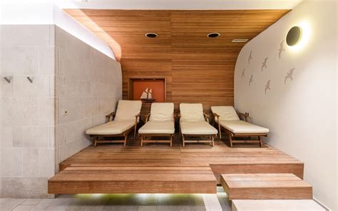 Wellness center - savne