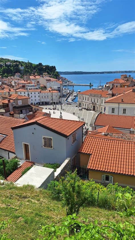 Pogled na Piran