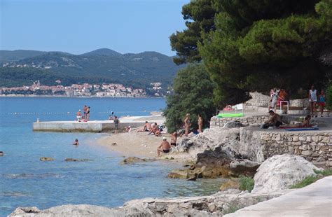 Pes na hrvaški plaži