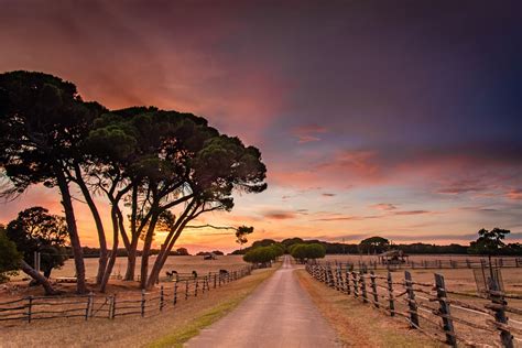 Nacionalni park Brioni