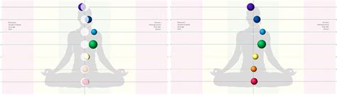 Diagram čaker v človeškem telesu