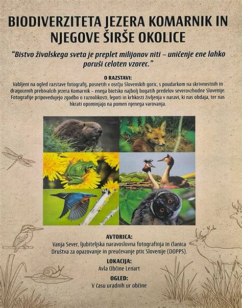 Kadar iz oglasa