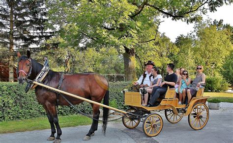 Vožnja s konjsko vprego skozi praznično okrašeno okolico