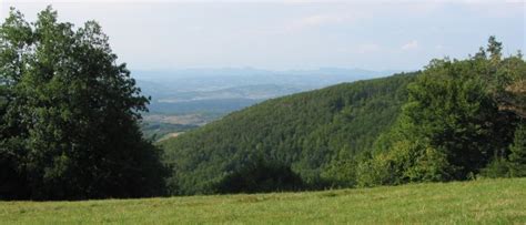 Panoramski pogled na vinorodne griče Dolenjske