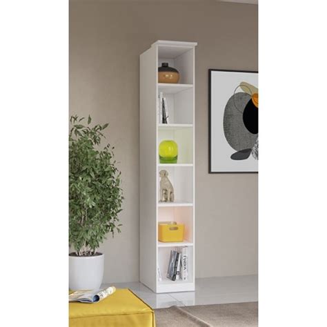 Notranjost Vodnikove domačije, knjižna polica