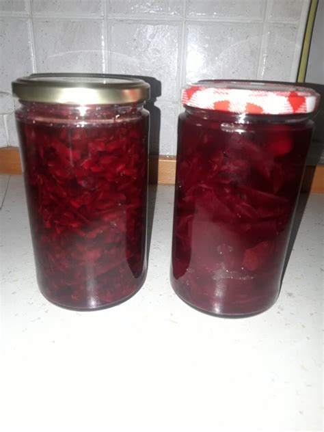 Pobiranje zrelih gomoljev rdeče pese