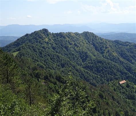 Panoramski pogled na Polhograjske Dolomite s kmetijo