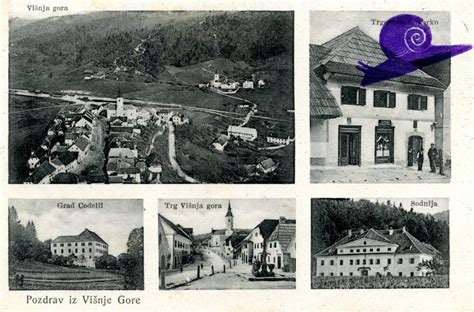 Google Maps prikazuje lokacijo Višnje Gore v Sloveniji