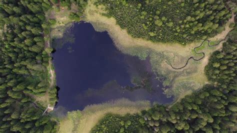 Črno jezero na Pohorju