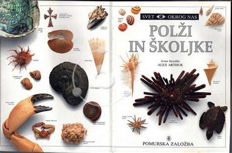 Raznolike školjke in polži na razstavi