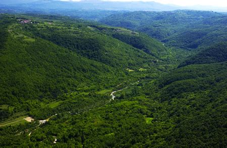 Dolina Dragonje in solna polja
