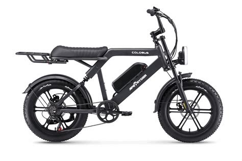 Rdeči kolobus v drevesu