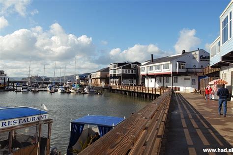Morski levi na pomolu Pier 39 v San Franciscu.