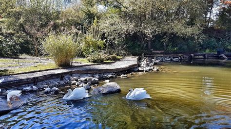 Diagram toka vode v naravnem parku z jezerci in potočki