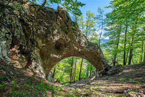 Visoki peščenjakovi klifi v Narodnem parku Zion