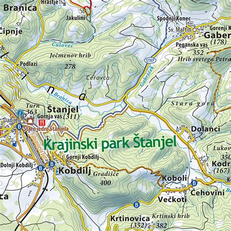 Slovenska Istra oljčni nasadi