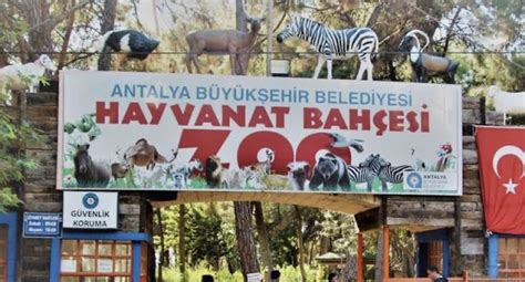 Panoramski pogled na Živalski vrt Schönbrunn z dvignjenega razgledišča