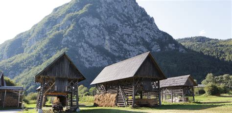 Planina Blatca v Bohinju