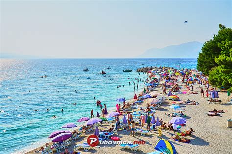 Plaža Nikolina s prodnatim obrežjem in borovci