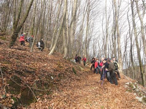 Družina, ki se sankajo po zasneženem hribu