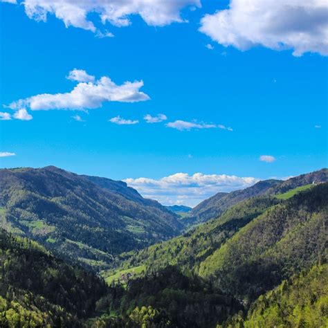 panoramski pogled na kraško pokrajino z vinogradi
